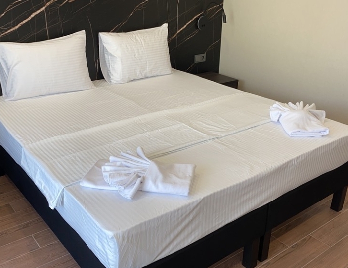 Стандарт - Отель Royal Riviera / Роял Ривьера Гагра